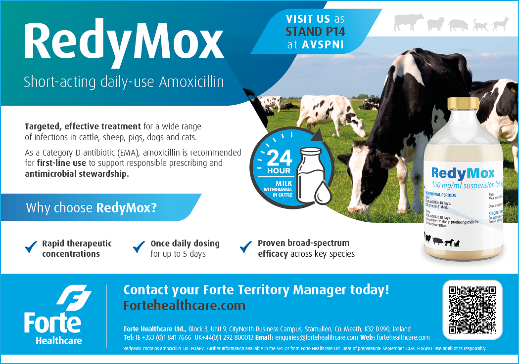 An advertisement for RedyMox, a short-acting amoxicillin for cattle, sheep, pigs, dogs, and calves, featuring cows in a grassy field, a medicine bottle, and contact information for Forte Healthcare. Description generated by AI