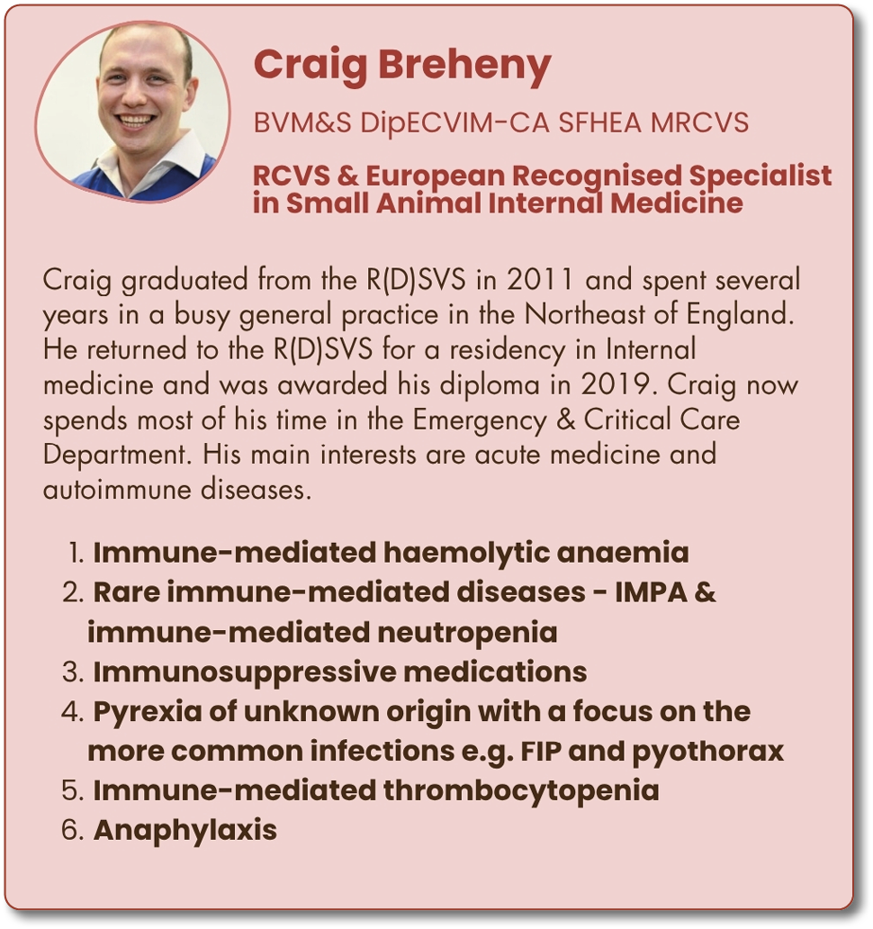 A professional profile of Craig Breheny, a specialist in small animal internal medicine, detailing education, career focus, and main medical interests including immune-mediated diseases and infections. Description generated by AI