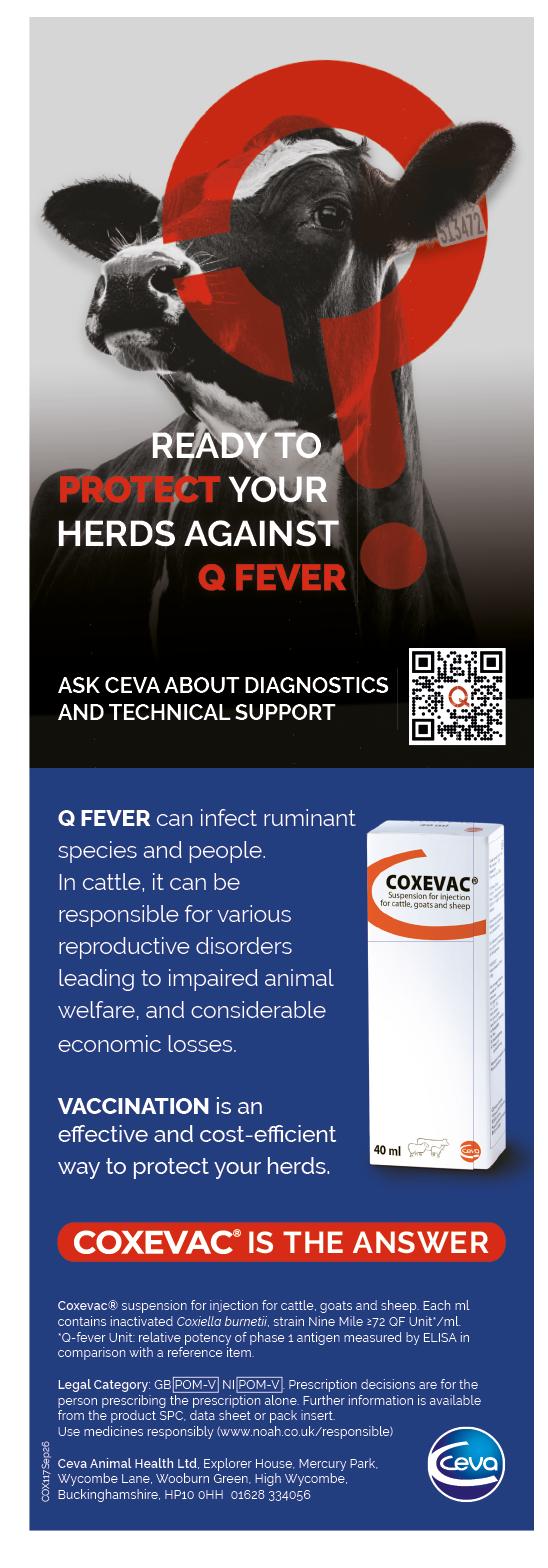 A promotional poster featuring a cow with a red target symbol and text urging protection of herds against Q fever through vaccination and diagnostic support. Description generated by AI
