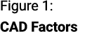 Figure 1: CAD Factors