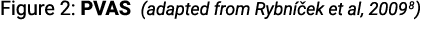 Figure 2: PVAS (adapted from Rybn ek et al, 20098)