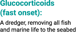 Glucocorticoids (fast onset): A dredger, removing all fish and marine life to the seabed
