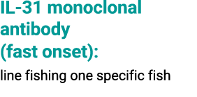 IL 31 monoclonal antibody (fast onset): line fishing one specific fish
