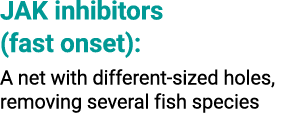 JAK inhibitors (fast onset): A net with different sized holes, removing several fish species