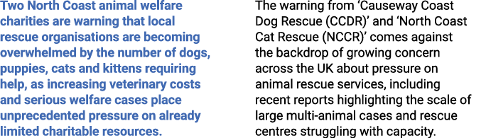 Two North Coast animal welfare charities are warning that local rescue organisations are becoming overwhelmed by the ...