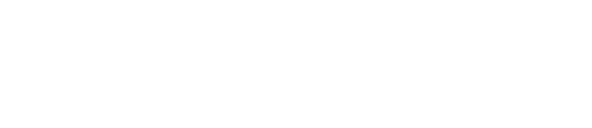 Vet to You! 