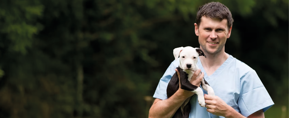 A person wearing light blue scrubs is holding a small black and white puppy outdoors with a blurred green background. Description generated by AI