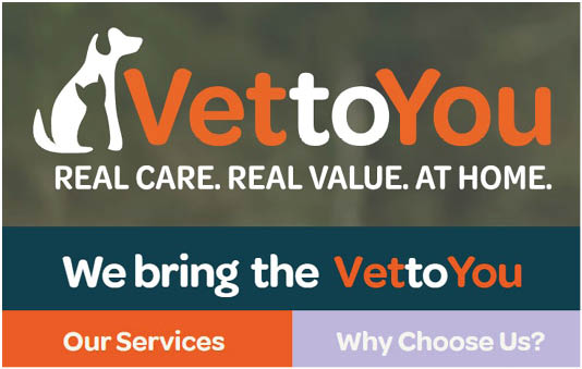 A person wearing light blue scrubs is holding a small white puppy wrapped in a dark blanket next to a VettoYou logo with the tagline “Real care. Real value at home." and buttons labeled "Our Services" and "Why Choose Us?". Description generated by AI