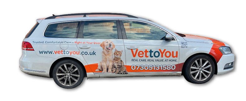 A white station wagon with orange accents features advertising for VettoYou, a veterinary service, including images of a dog and a cat and contact information on the side. Description generated by AI