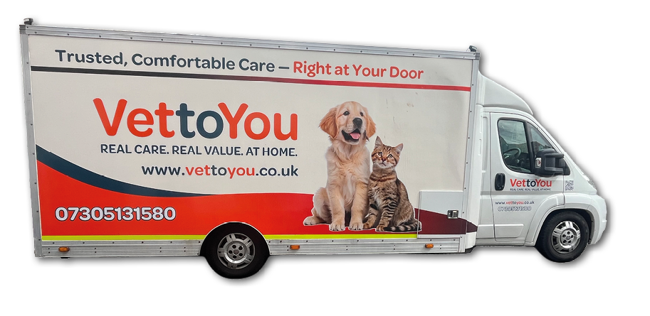A white delivery truck with a large advertisement for VettoYou featuring a dog and a cat and text promoting trusted, comfortable veterinary care at home. Description generated by AI