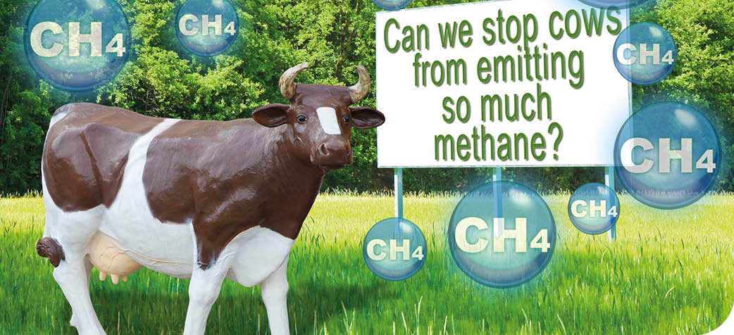 A cow stands in a grassy field surrounded by floating methane gas symbols with a sign asking if cows can be stopped from emitting so much methane. Description generated by AI