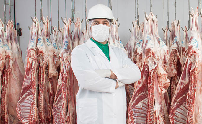 A man wearing a white robe in a Slaughterhouse and standing in front of meats that hanging.