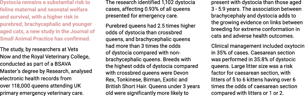 Dystocia remains a substantial risk to feline maternal and neonatal welfare and survival, with a higher risk in pureb...