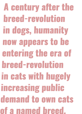 A century after the breed revolution in dogs, humanity now appears to be entering the era of breed revolution in cats...