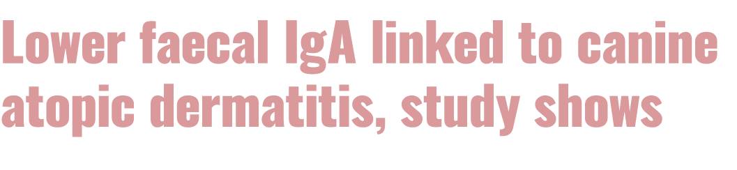 Lower faecal IgA linked to canine atopic dermatitis, study shows