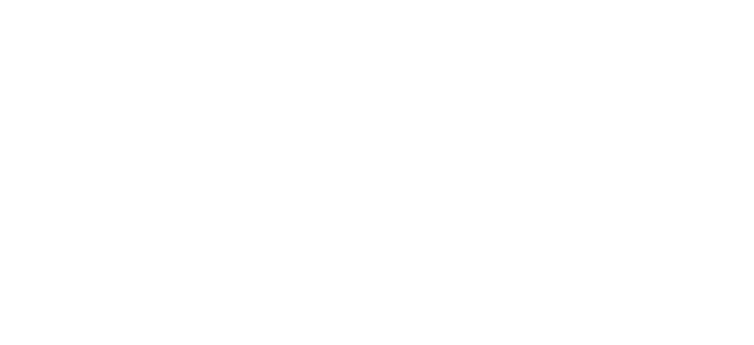 Applications for PhD to develop Ageing Feline Toolkit