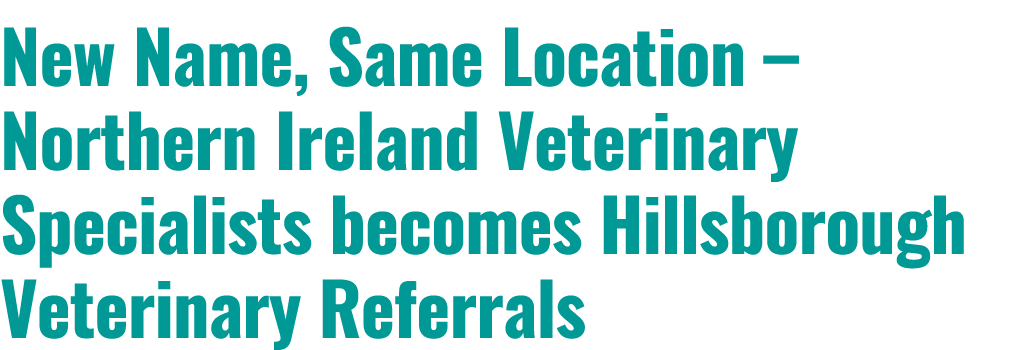 New Name, Same Location – Northern Ireland Veterinary Specialists becomes Hillsborough Veterinary Referrals 