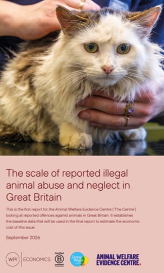 A person gently holds a fluffy cat with a calm expression on a reflective surface, accompanied by text about illegal animal abuse and neglect in Great Britain. Description generated by AI