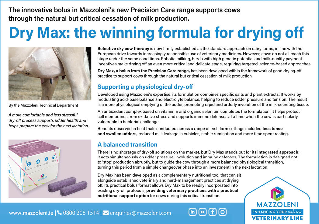 A detailed informational flyer describes the benefits and scientific approach of Mazzoleni's Dry Max product for supporting cows through the natural cessation of milk production, featuring text, a small photo of a person in a lab coat, and the Mazzoleni Veterinary Line logo. Description generated by AI