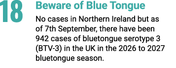 18 Beware of Blue Tongue No cases in Northern Ireland but as of 7th September, there have been 942 cases of bluetongu...