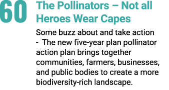 60 The Pollinators – Not all Heroes Wear Capes Some buzz about and take action The new five year plan pollinator acti...