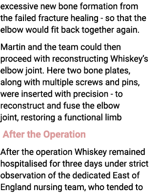 excessive new bone formation from the failed fracture healing so that the elbow would fit back together again. Martin...