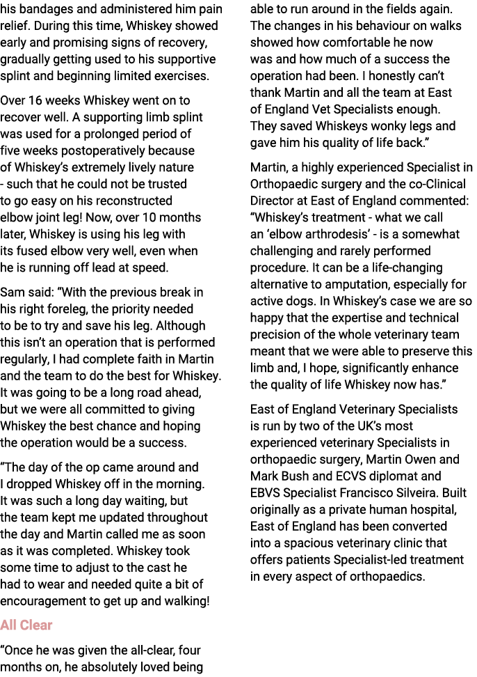 his bandages and administered him pain relief. During this time, Whiskey showed early and promising signs of recovery...