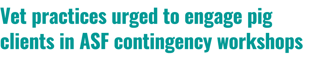 Vet practices urged to engage pig clients in ASF contingency workshops