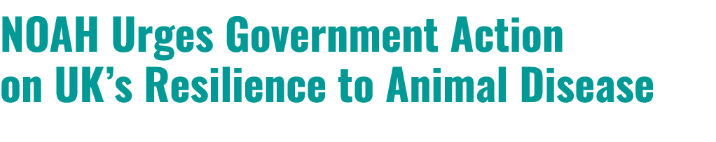NOAH Urges Government Action on UK’s Resilience to Animal Disease
