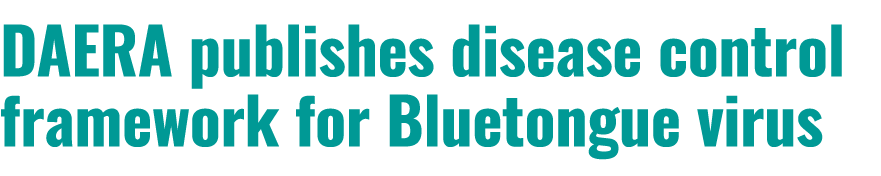 DAERA publishes disease control framework for Bluetongue virus 