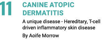 11 CANINE ATOPIC DERMATITIS A unique disease Hereditary, T cell driven inflammatory skin disease By Aoife Morrow