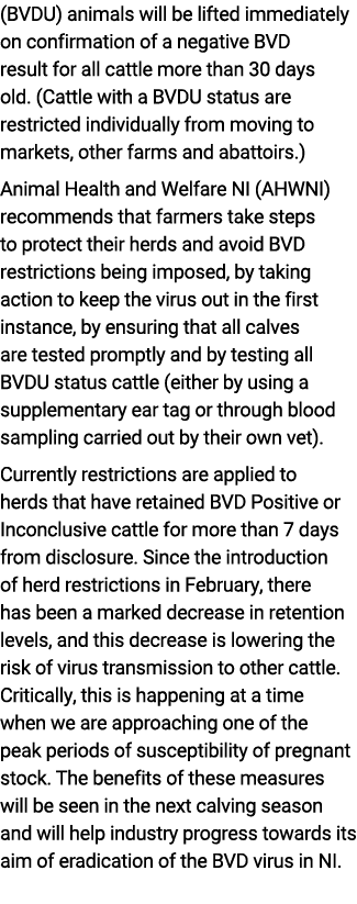 (BVDU) animals will be lifted immediately on confirmation of a negative BVD result for all cattle more than 30 days o...