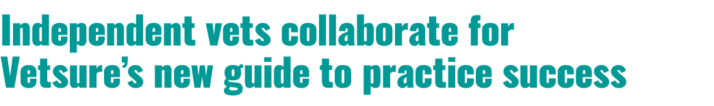 Independent vets collaborate for Vetsure’s new guide to practice success