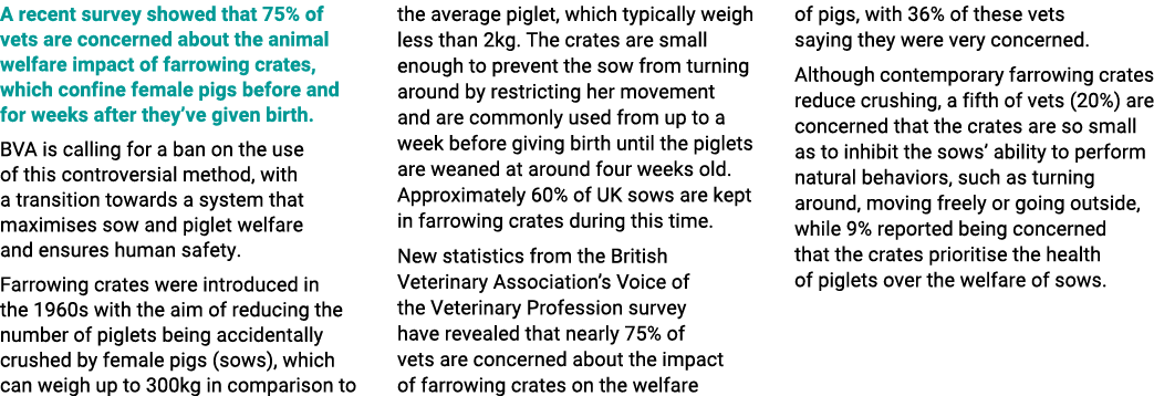 A recent survey showed that 75% of vets are concerned about the animal welfare impact of farrowing crates, which conf...