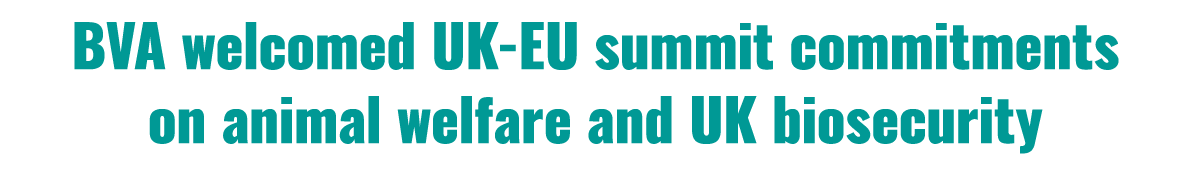 BVA welcomed UK EU summit commitments on animal welfare and UK biosecurity 