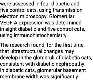 were assessed in four diabetic and five control cats, using transmission electron microscopy. Glomerular VEGF A expre...