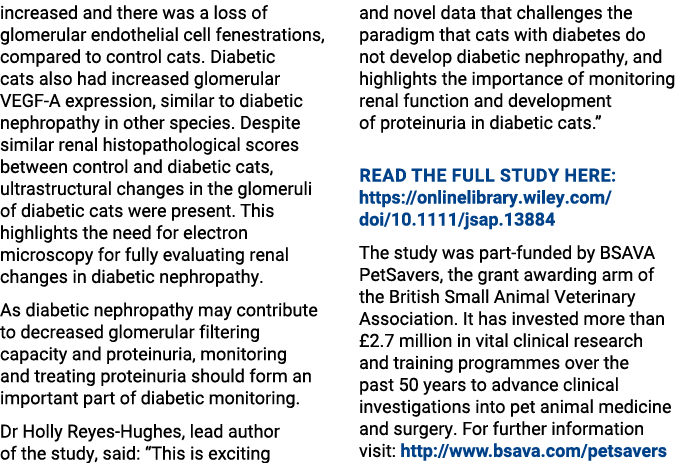 increased and there was a loss of glomerular endothelial cell fenestrations, compared to control cats. Diabetic cats ...
