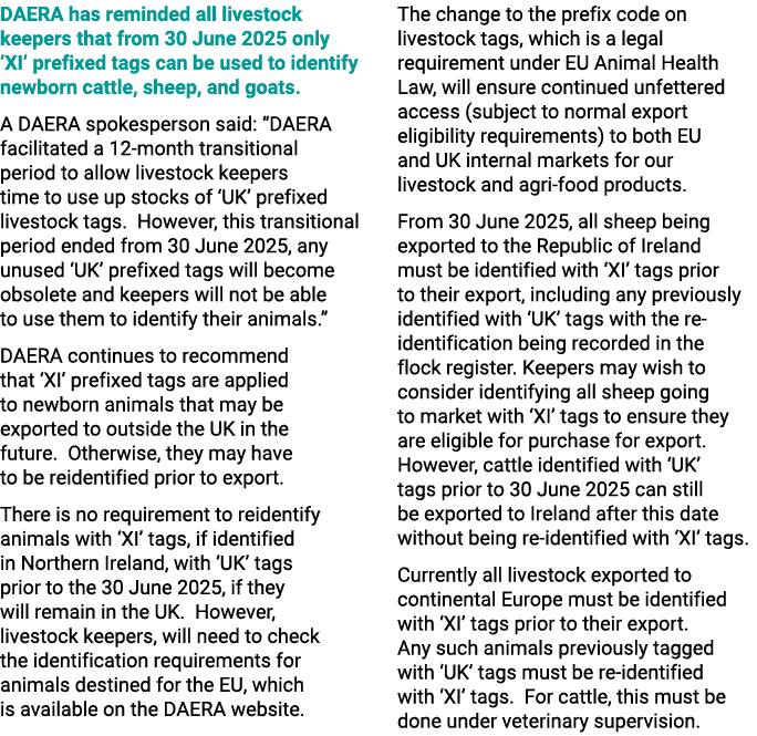 DAERA has reminded all livestock keepers that from 30 June 2025 only ‘XI’ prefixed tags can be used to identify newbo...