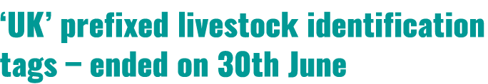 ‘UK’ prefixed livestock identification tags – ended on 30th June