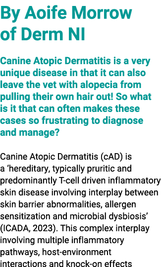 By Aoife Morrow of Derm NI Canine Atopic Dermatitis is a very unique disease in that it can also leave the vet with a...