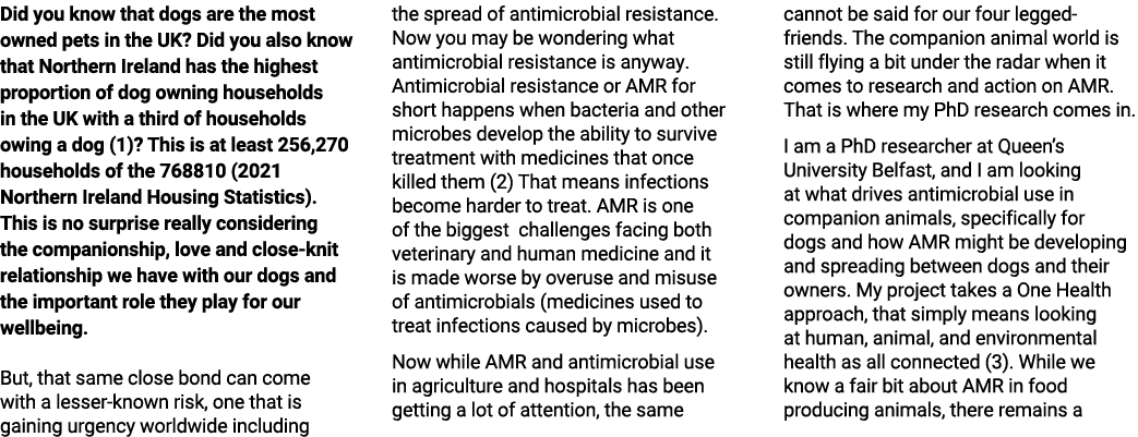 Did you know that dogs are the most owned pets in the UK? Did you also know that Northern Ireland has the highest pro...