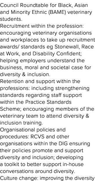 Council Roundtable for Black, Asian and Minority Ethnic (BAME) veterinary students  Recruitment within the profession   