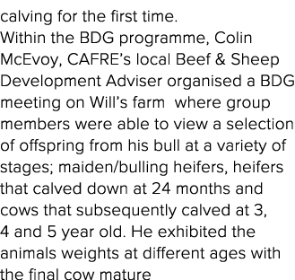 calving for the first time   Within the BDG programme, Colin McEvoy, CAFRE s local Beef & Sheep Development Adviser o   