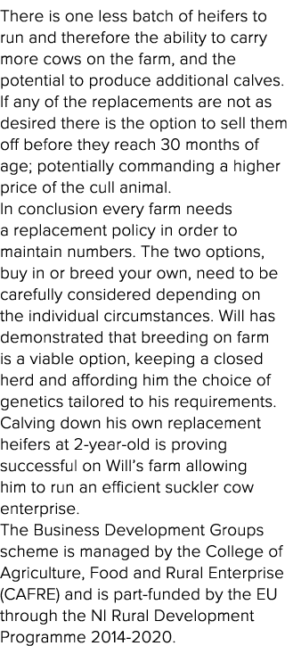 There is one less batch of heifers to run and therefore the ability to carry more cows on the farm, and the potential   