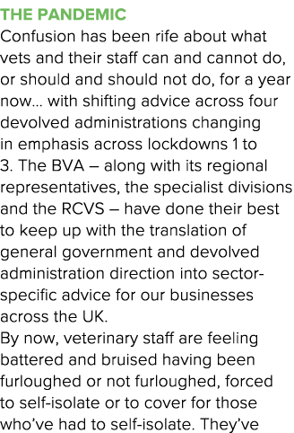 The pandemic Confusion has been rife about what vets and their staff can and cannot do, or should and should not do,    