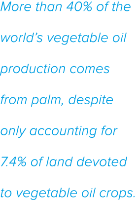 More than 40% of the world s vegetable oil production comes from palm, despite only accounting for 7 4% of land devot   