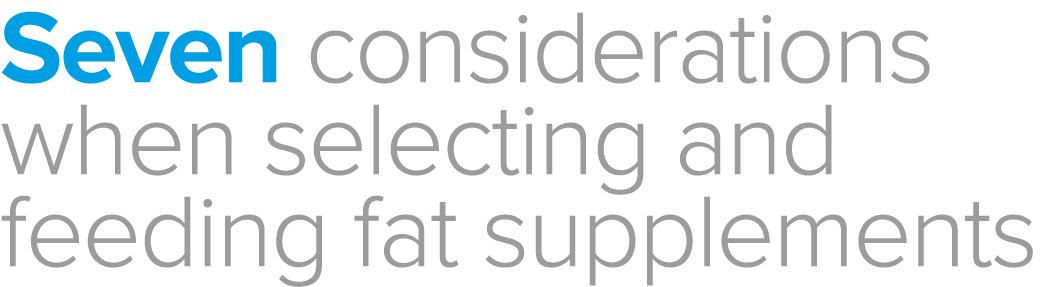 Seven considerations when selecting and feeding fat supplements