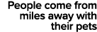 People come from miles away with their pets