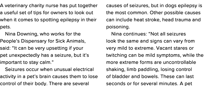 A veterinary charity nurse has put together a useful set of tips for owners to look out when it comes to spotting epi   