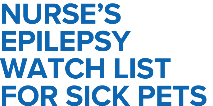 Nurse s epilepsy watch list for sick pets